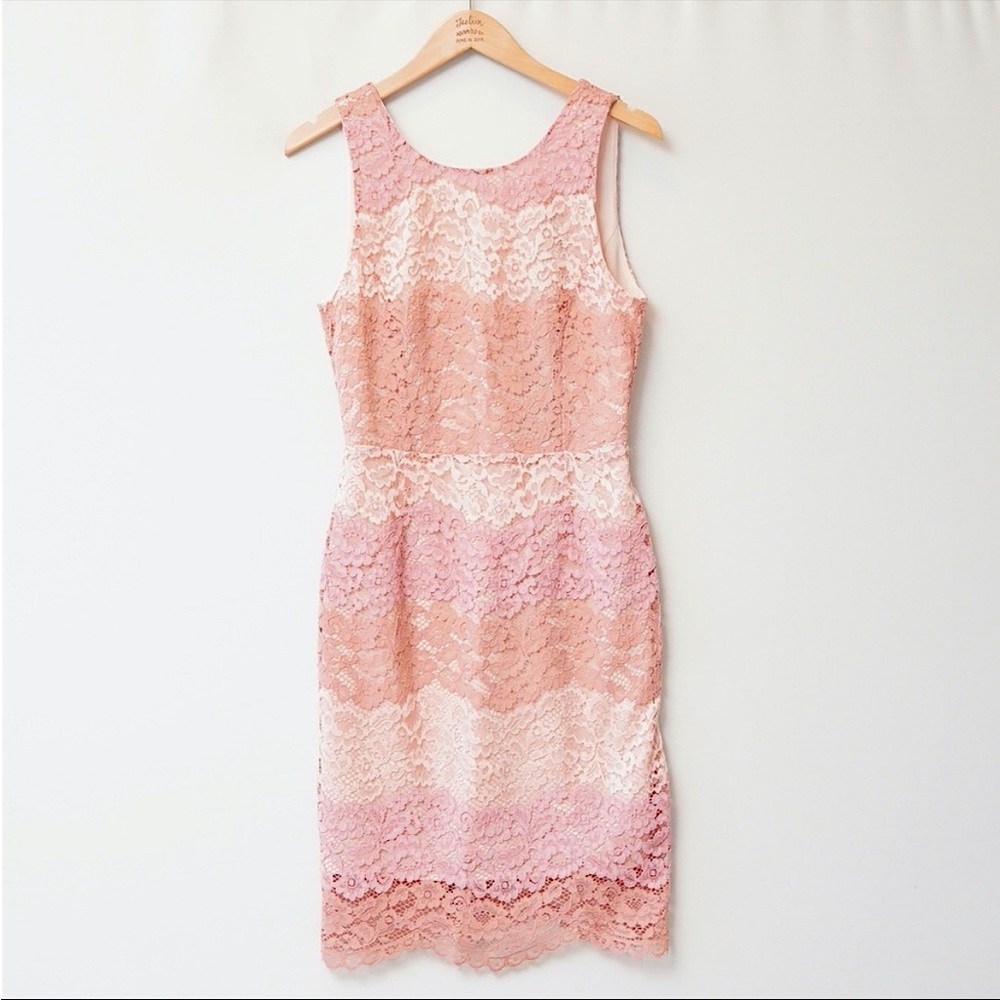 Tahari Pink Blush Color Block Floral-Lace Dress